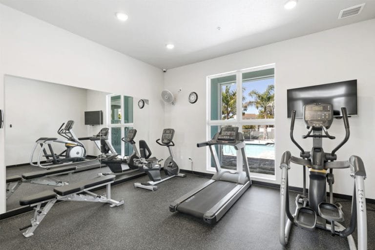The fitnesss centers offer a variety of machines and free weights