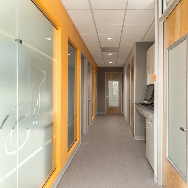 Veterinary Specialty Surgery Center in University Park, Florida. Brightly colored corridor and custom glass