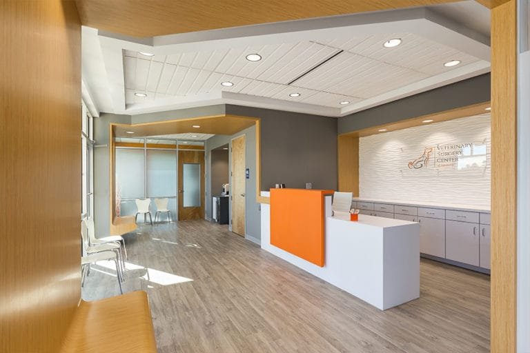 Veterinary Specialty Surgery Center in University Park, Florida. Light-filled Lobby and Reception