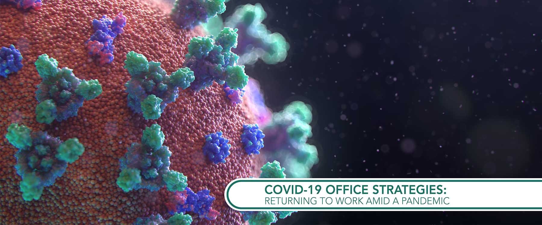 Covid19 office strategies returning to work amid a pandemic by Michael Brush