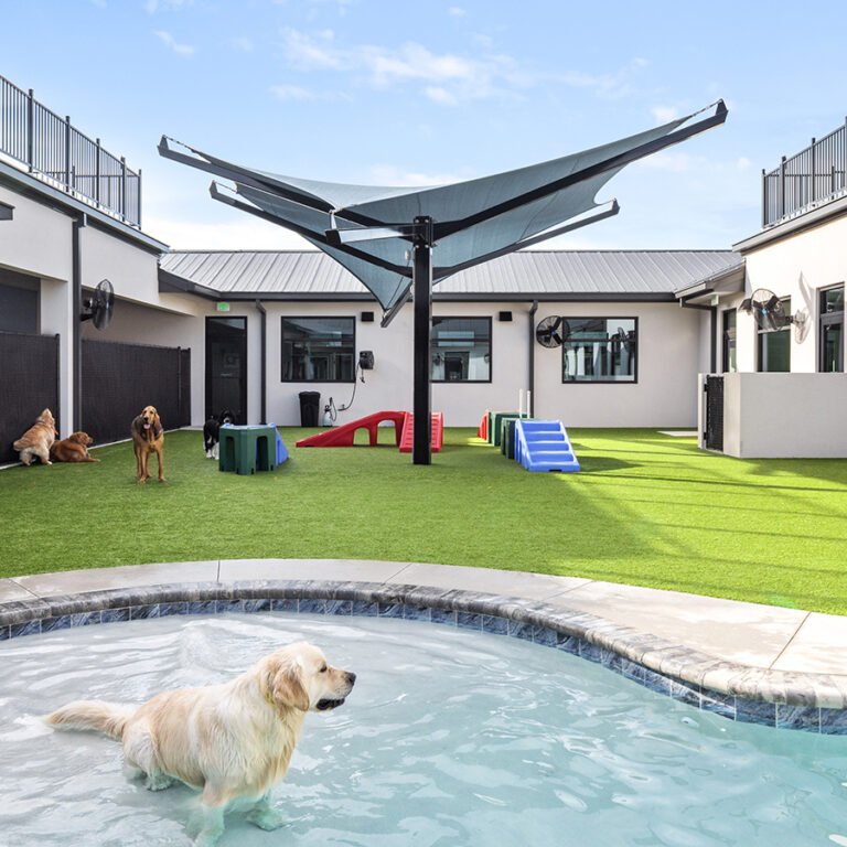 Bayside Pet Resort Outdoor Dog Play Area